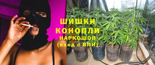 mdpv Заводоуковск