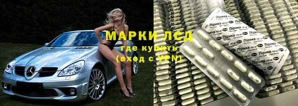 шишки Заволжье