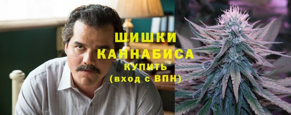 прущие грибы Алексеевка