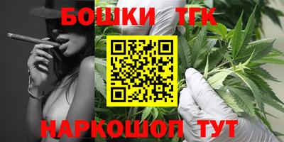 ешки Новодвинск
