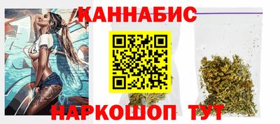 ешки Новодвинск