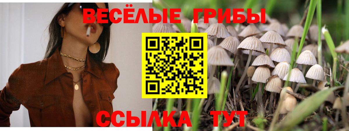 Галлюциногенные грибы Cubensis  Вход с VPN  Старая Русса 