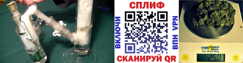 Марихуана сатива  Старая Русса 